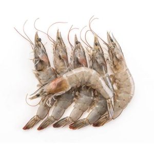 Ecuador Prawns