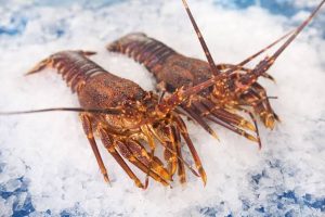 West Coast Lobster